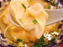 -九斤黄三黄鸡专卖店