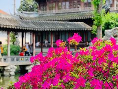 -豫园