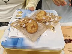 -珍妮曲奇聪明小熊(尖沙咀店)