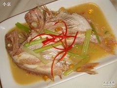 鱼-潮人姐妹轩(海宁路店)