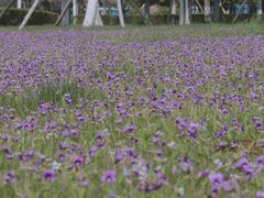 -浙江万里学院(钱湖校区)