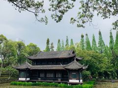 -桂湖森林公园