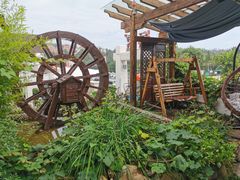 -慢丽江·云南野生菌土鸡锅(付家庄店)