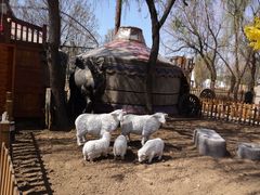 -大汗行宫园林餐厅