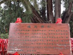 -四门塔风景区