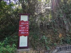 -广州白江湖森林公园