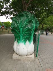 -大望京儿童游乐场