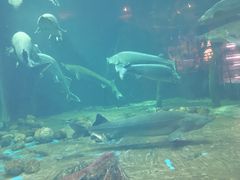 -华夏文旅西安度假区