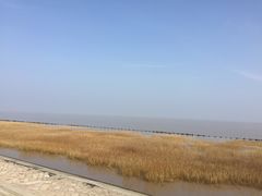 -南汇嘴观海公园