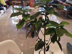 -厚业文体中心羽毛球馆(文锦渡馆)
