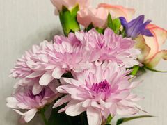 -虎哥私房菜(馒头山店)