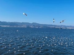 -海埂大坝