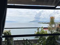 -野菌皇海景野生菌火锅(滨海大道店)
