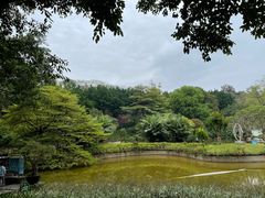-广州雕塑公园