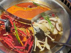 -辣伍鲜毛肚老火锅(元一店)