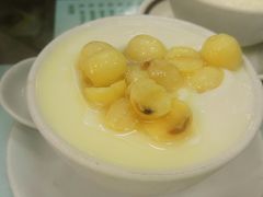 双皮奶-义顺牛奶公司(新马路老店)