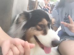 -TrueLove @ Neverland (Husky Cafe)