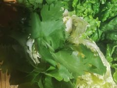 -凤吉园乌拉满族火锅中华老字号(繁荣路店)