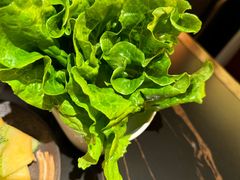 -厚贞日式烤肉(浦东汇智店)