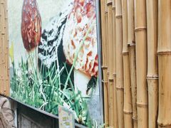 -大理董·董家小厨野生菌火锅(古城旗舰店)