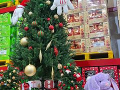 -山姆会员商店(上海浦东店)