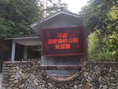 -花岩国家森林公园