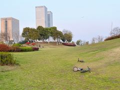 -滨湖塘西河公园