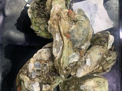 -大富蚝乌东哥饭店·石锅鱼杂·柠檬鸭(革新路店)
