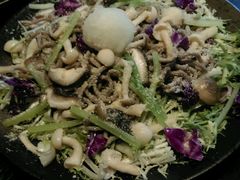 -春草居酒屋·晴子の店