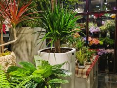 -宝鸡东道花鸟鱼虫市场(吉利花园商场店)