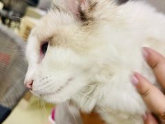 -中田健身工作室(中针商务店)