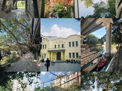 -小洲村