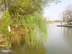 -白塘生态植物园