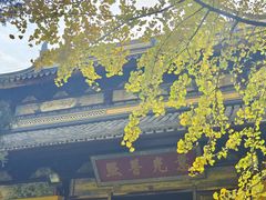 -西园戒幢律寺