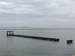 -贡湖湾湿地公园