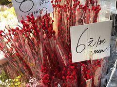 -循礼门鲜花花市(武汉循礼门店)