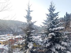 -亚布力新体委滑雪场