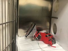 -美联众合动物医院·24h京西诊疗中心