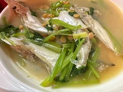 -蛇口康乐快餐鱼仔档(翠苑小区店)