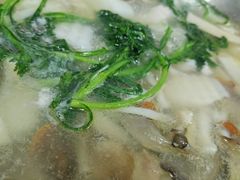 -迎三江菌汤兔(星桥街西段店)