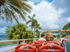-Big Bus Tours 敞篷观光巴士