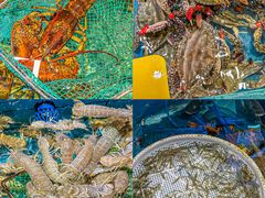 -好兄弟郭巨海鲜(天一阁店)