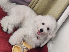 -绍兴启迪乔波冰雪世界
