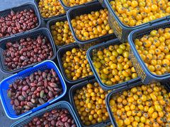 -江杨农产品批发市场