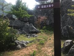 -千岛湖石林