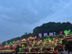 -枇杷园食为鲜火锅(南山店)