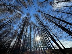 -塞罕坝国家级自然保护区