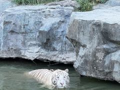 -宁波野生动物园