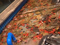 -一方渔歌蒸汽海鲜自助(文化路万达广场店)