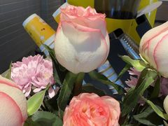 -麦当劳(天鹿南路分店)